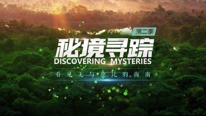 逃离洁白的宾馆